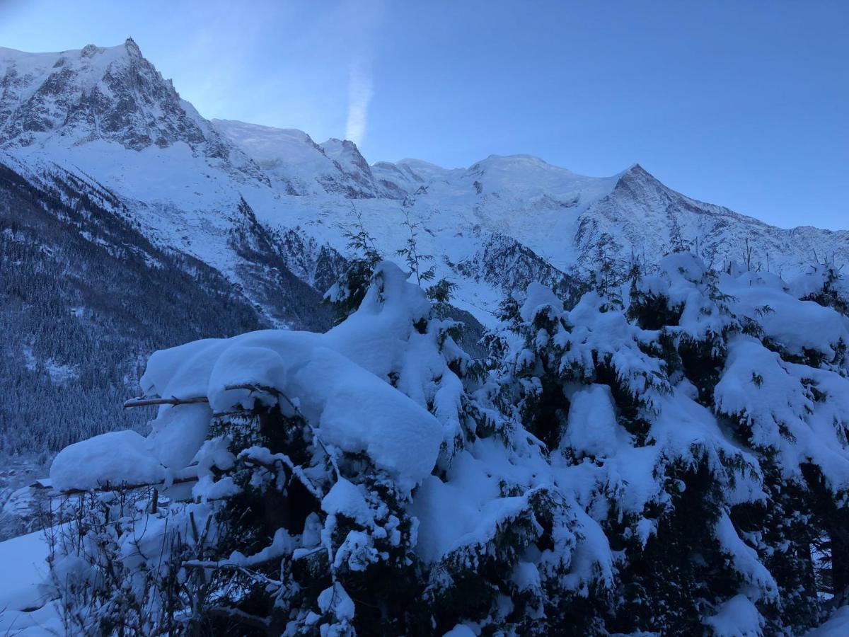 Mont Blanc 43, Vue Mont Blanc , Balcon, Parking Lägenhet Chamonix Exteriör bild